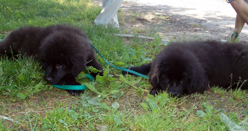 Фотография № 127229