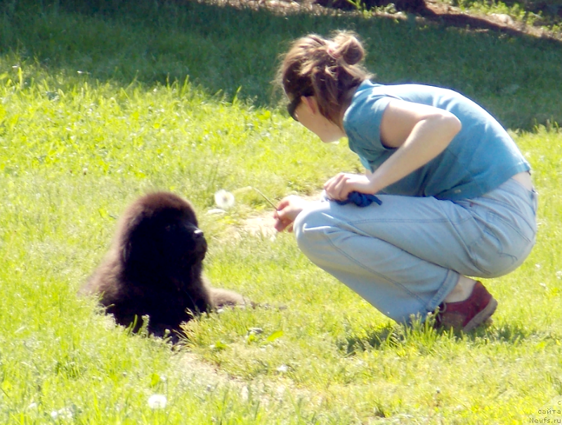 Фотография № 127230