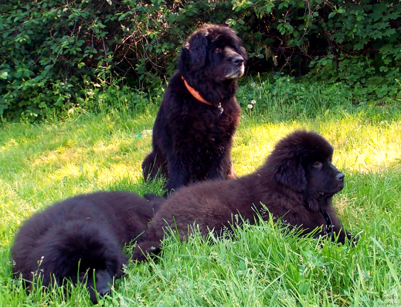 Фотография № 127232