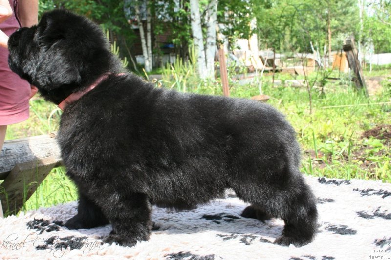 Фотография № 127277