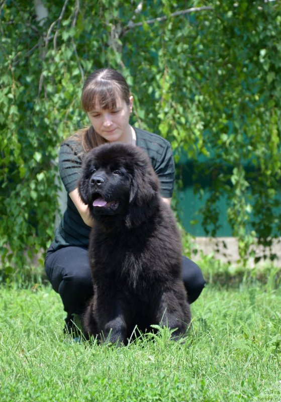 Фотография № 127324