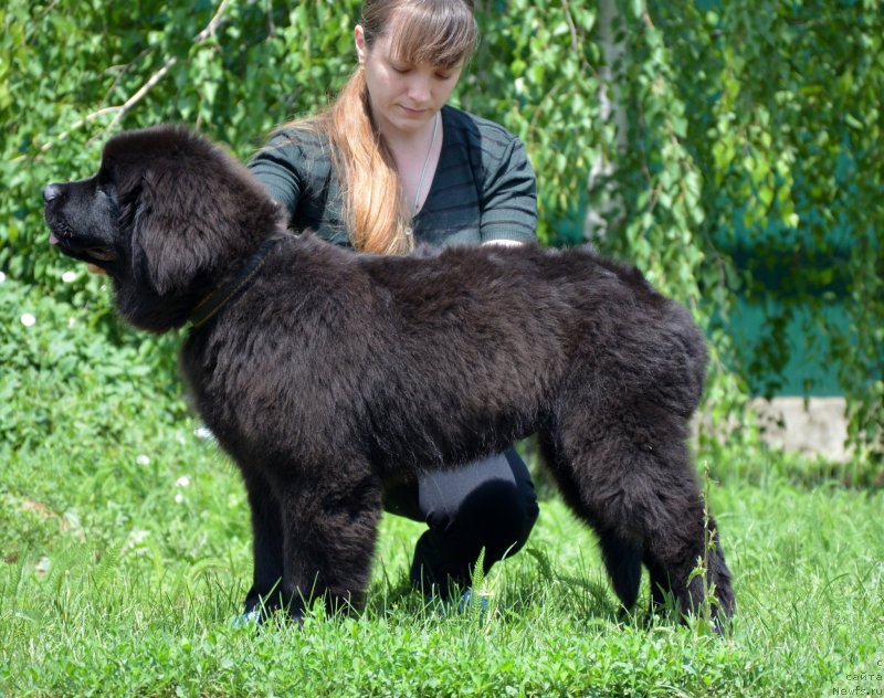 Фотография № 127326