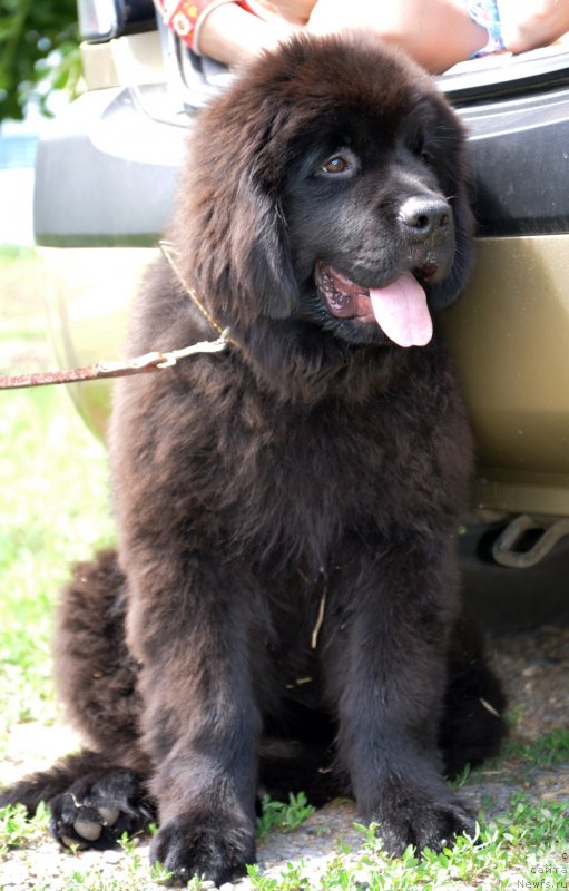 Фотография № 127331