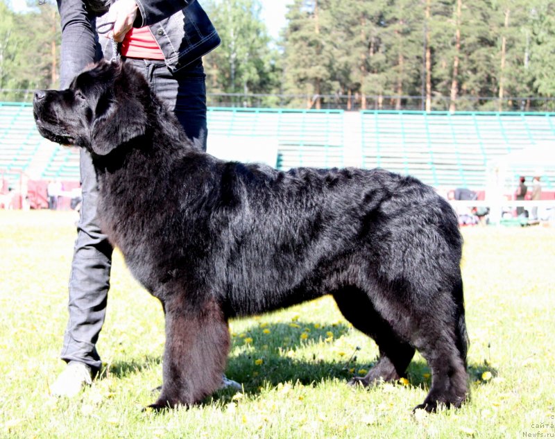 Фотография № 127438