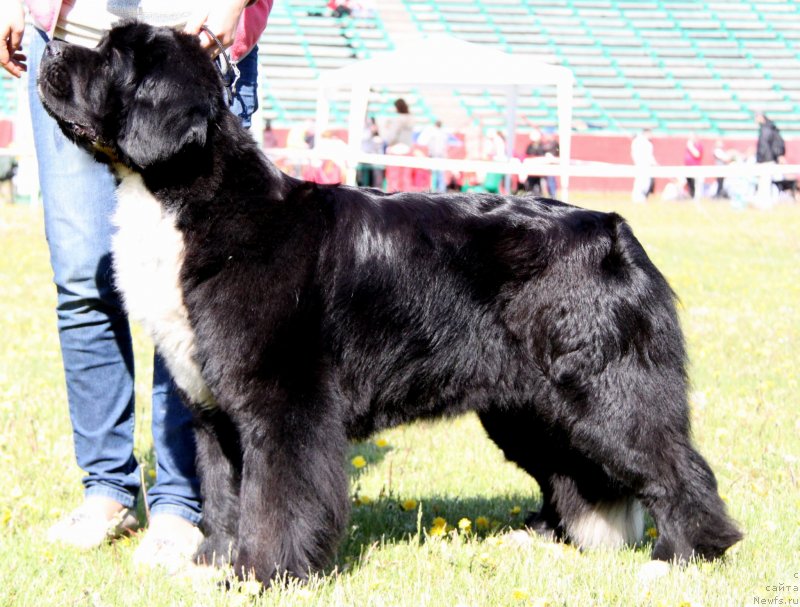 Фотография № 127444