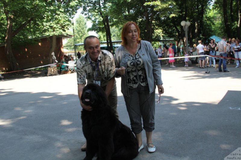 Фотография № 127474