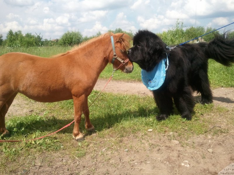 Фотография № 127476