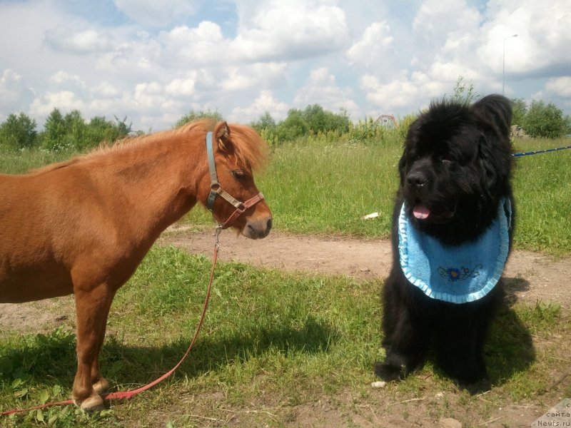 Фотография № 127477