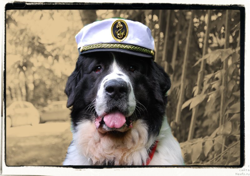 Фотография № 127491