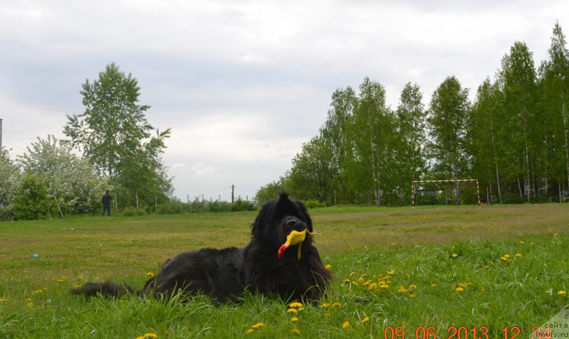 Фотография № 127498