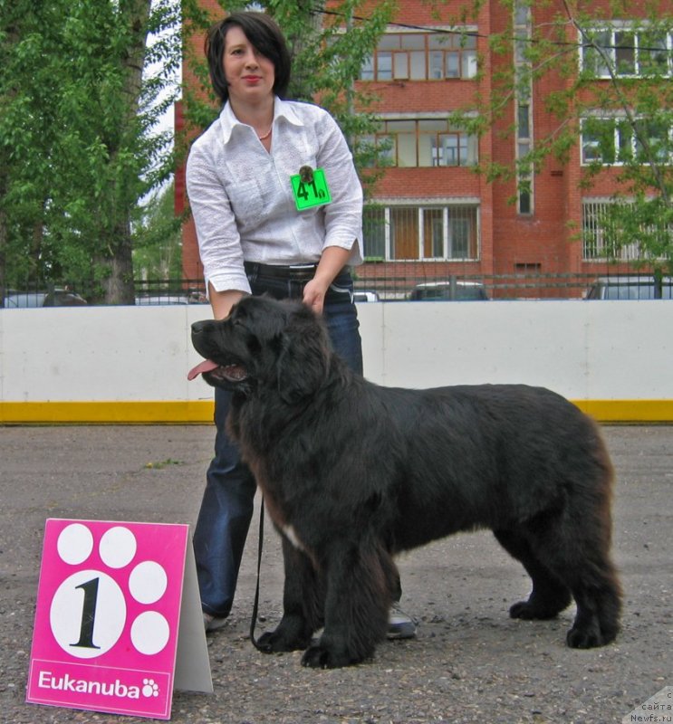 Фотография № 127510