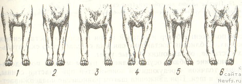 Фотография № 12754