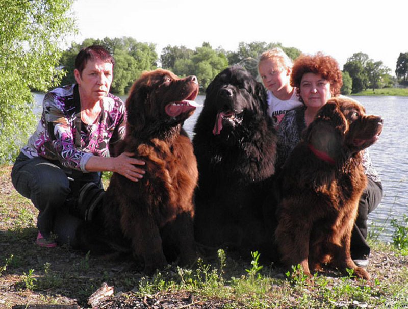 Фотография № 127569