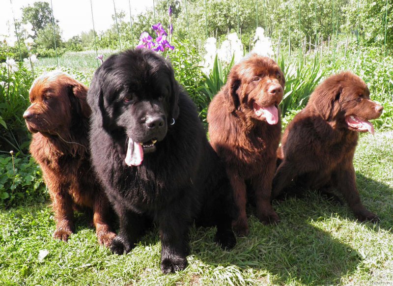 Фотография № 127583