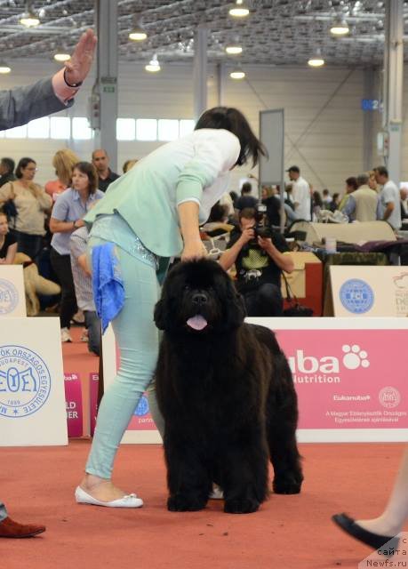 Фотография № 127603