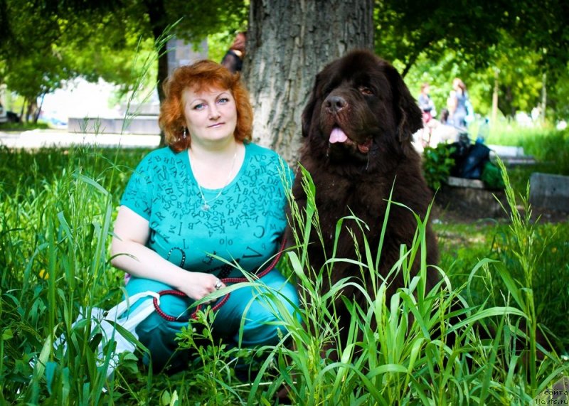 Фото: ньюфаундленд Черный Шарм Амбер Бест Дог ФО Марлеон, Татьяна Шайдук