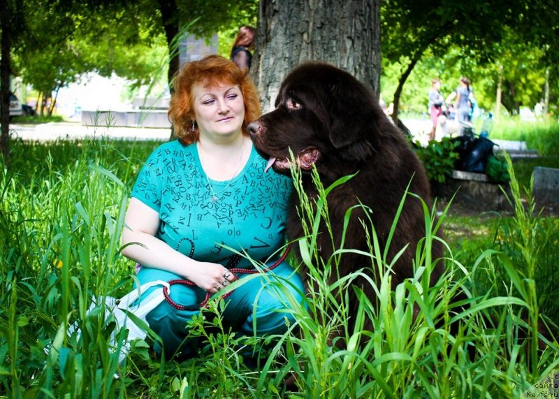 Фото: ньюфаундленд Черный Шарм Амбер Бест Дог ФО Марлеон, Татьяна Шайдук