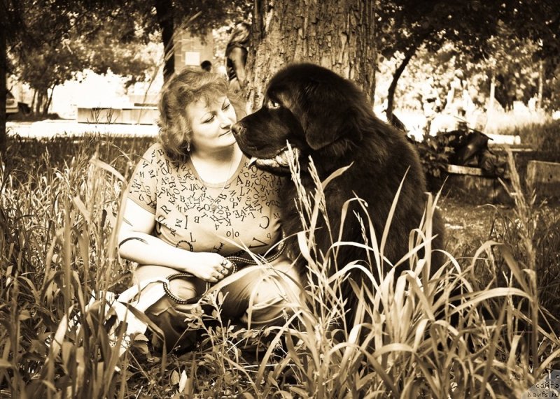 Фото: ньюфаундленд Черный Шарм Амбер Бест Дог ФО Марлеон, Татьяна Шайдук