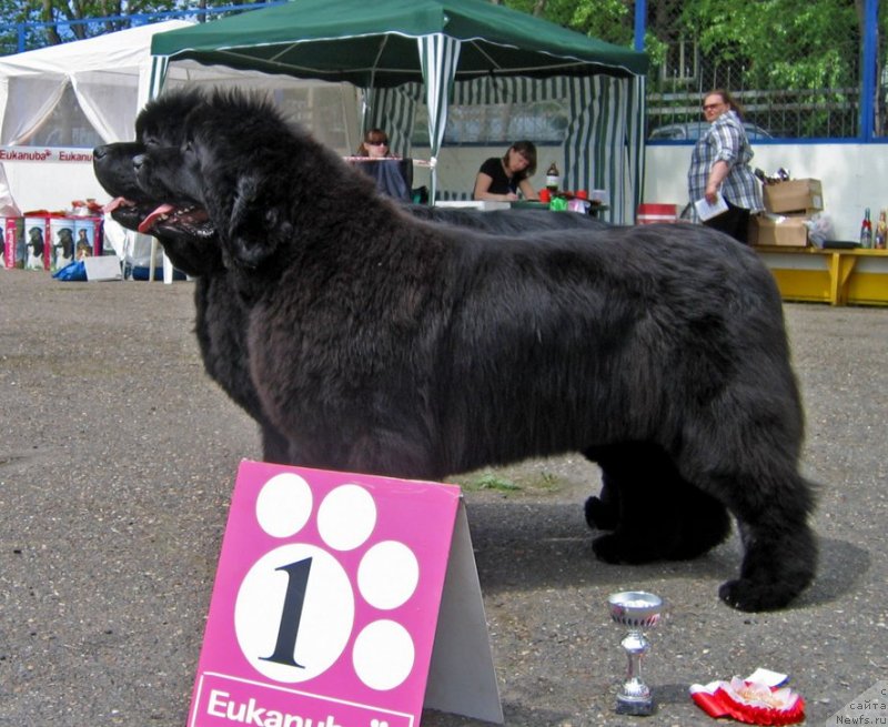 Фотография № 127621