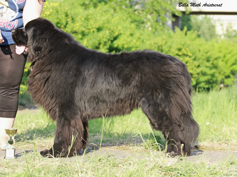 Фотография № 127635