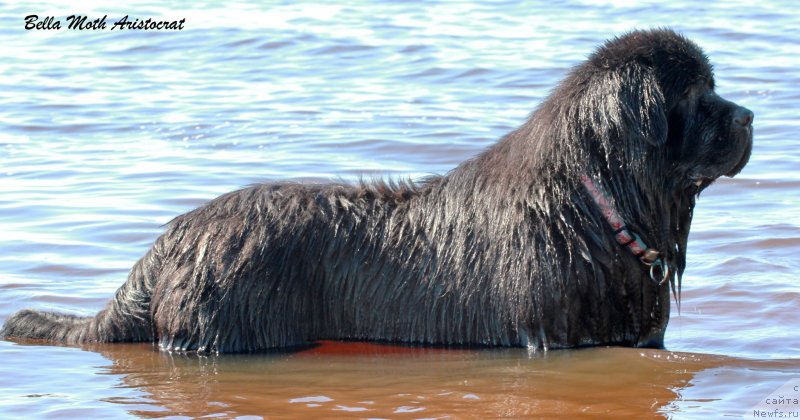 Фотография № 127636