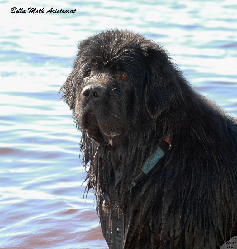 Фотография № 127637