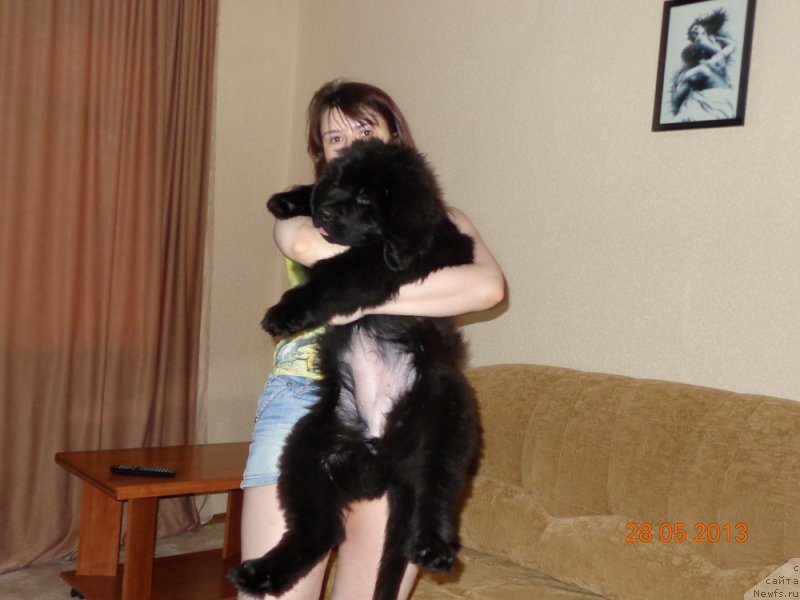 Фотография № 127671