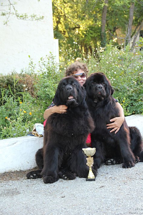 Фото: ньюфаундленд Сентябрина с Берега Дона (Sentyabrina s Berega Dona), ньюфаундленд Звездный Дар Афина для Берега Дона (Zvezdnij Dar Afina dlja Berega Dona), и я, Наталья Татаринова