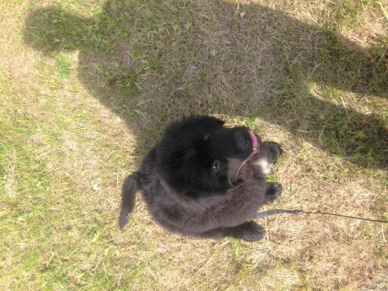 Фото: ID: [d12479], http://d12479.newfs.ru/