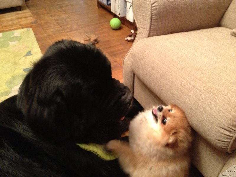 Фотография № 127707