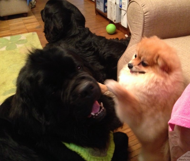 Фотография № 127708