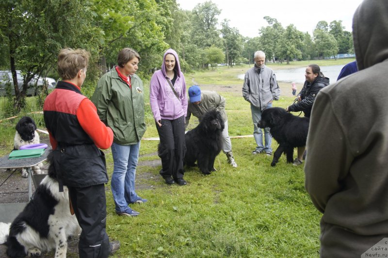 Фотография № 127714