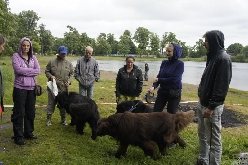 Фотография № 127715