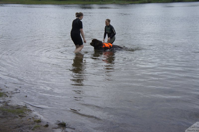 Фотография № 127717