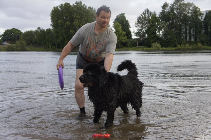 Фотография № 127721