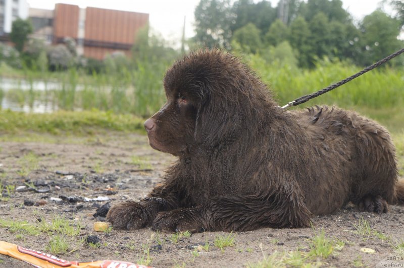 Фотография № 127722