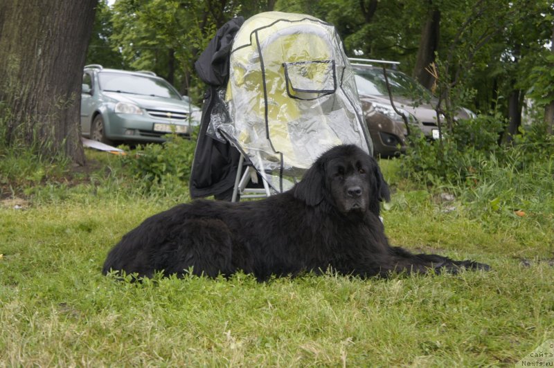 Фотография № 127723