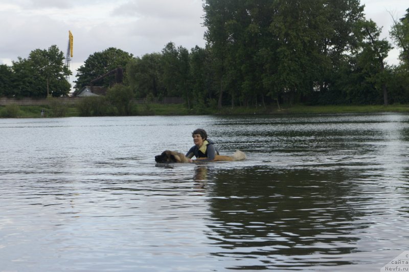 Фотография № 127725