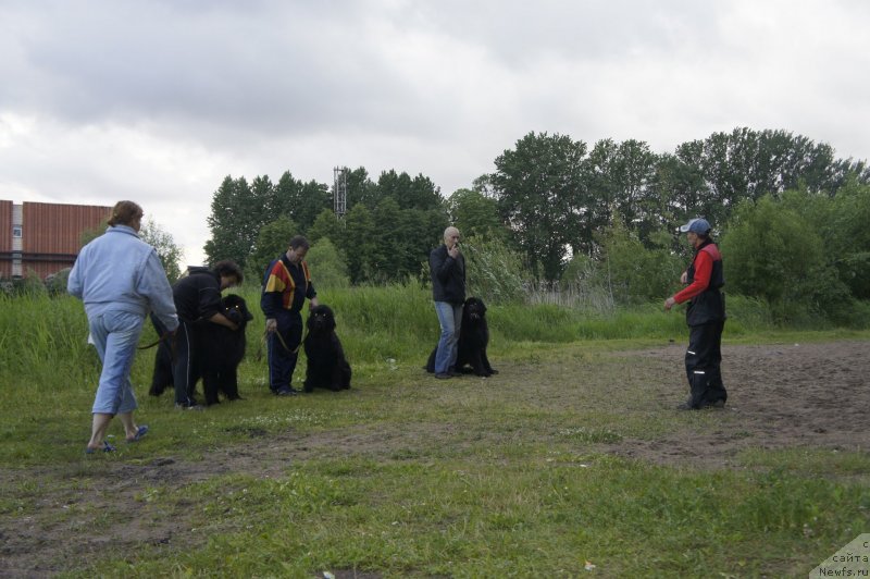 Фотография № 127728