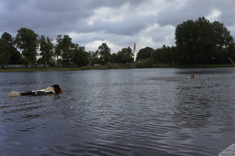 Фотография № 127729