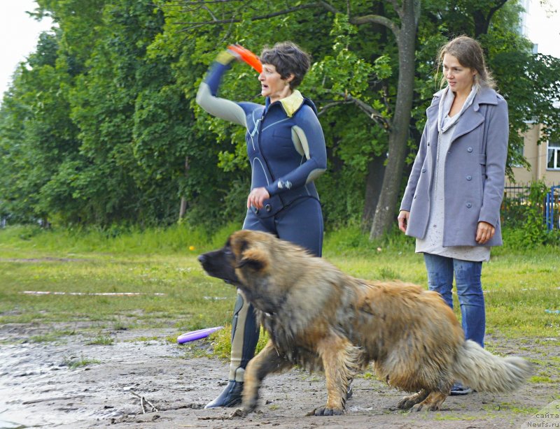 Фотография № 127732