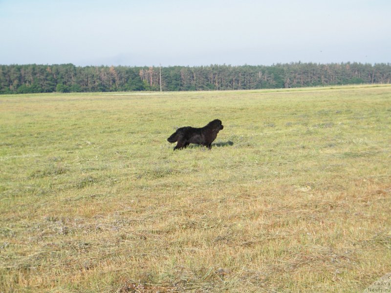 Фотография № 127752