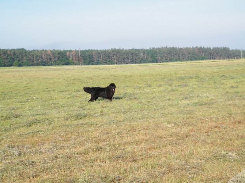 Фотография № 127753