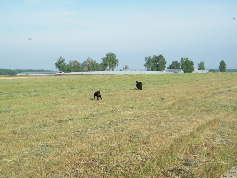 Фотография № 127754