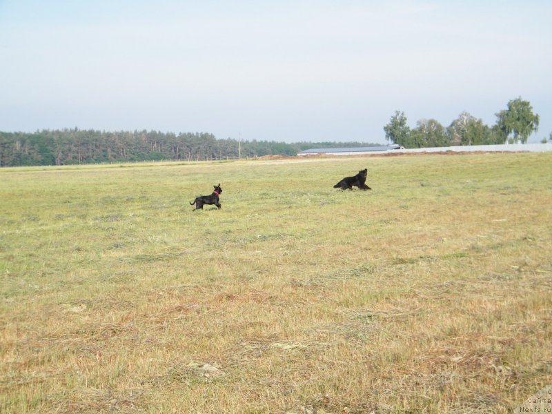 Фотография № 127755