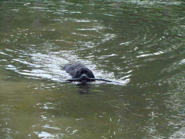 Фотография № 12780