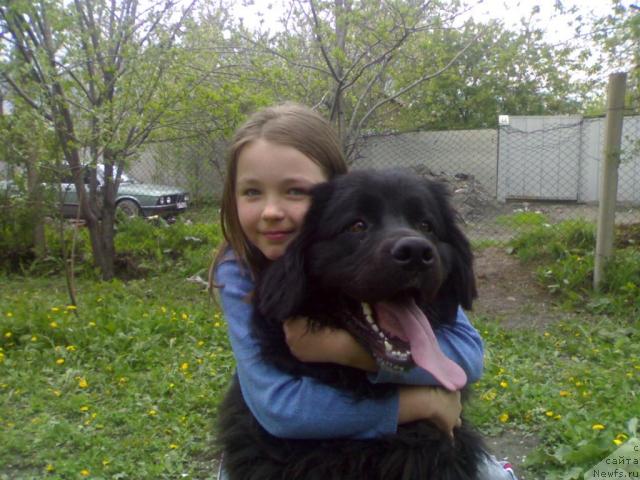 Фото: Атлант Рей