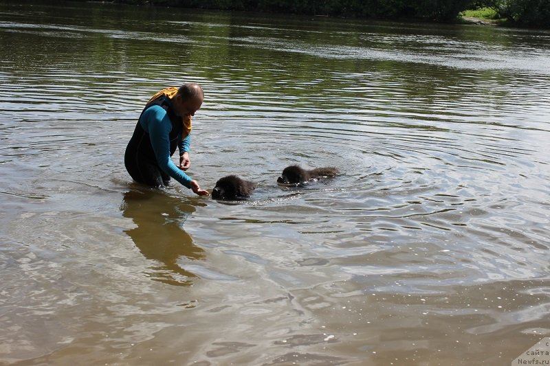 Фотография № 127830