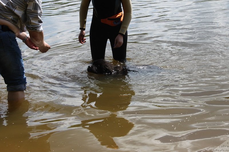 Фотография № 127831