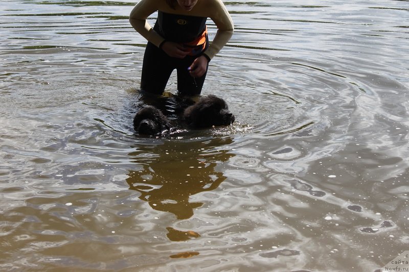 Фотография № 127833